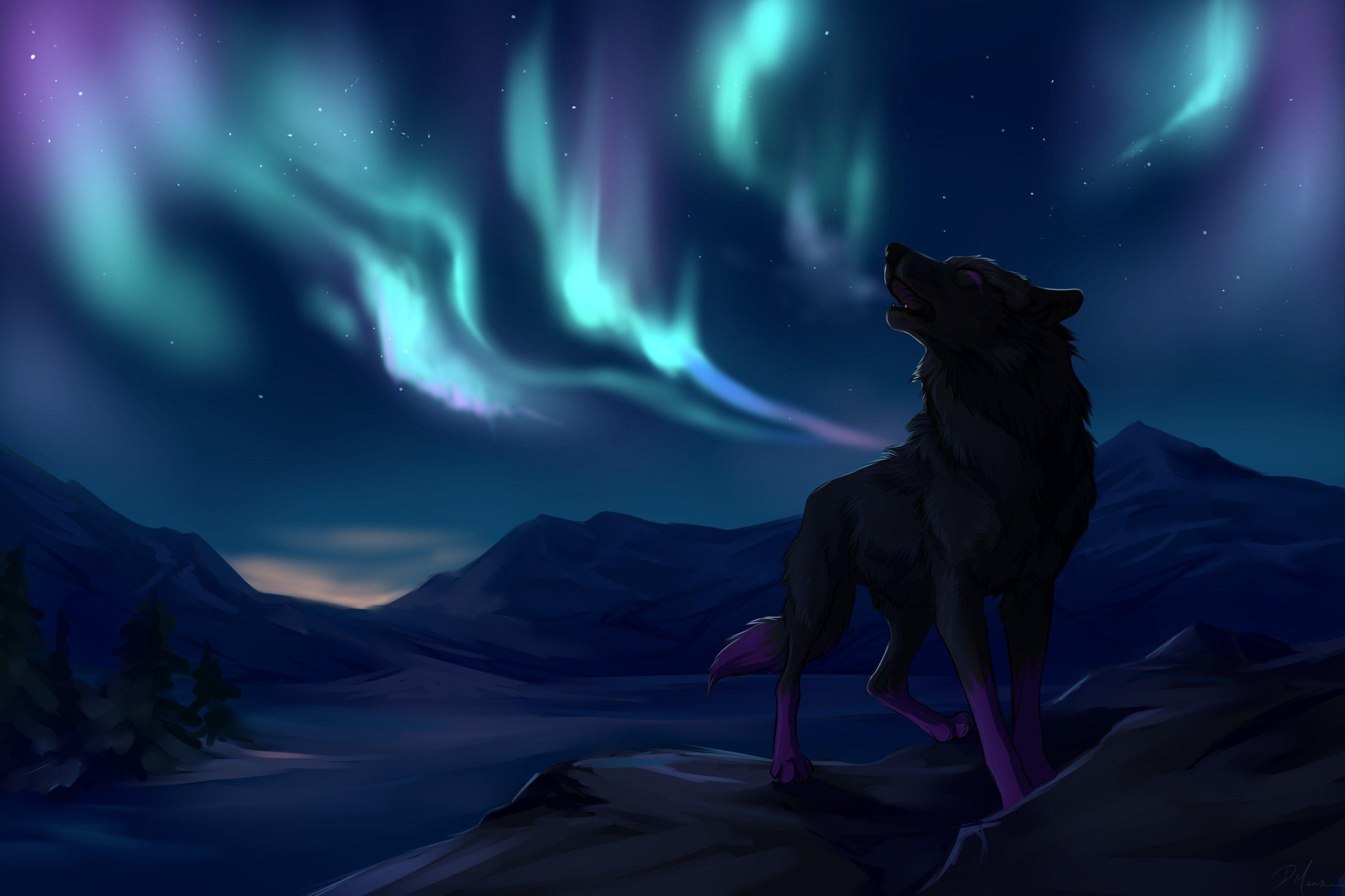 Northern lights mountains wolves star wolf wallpaperx2000