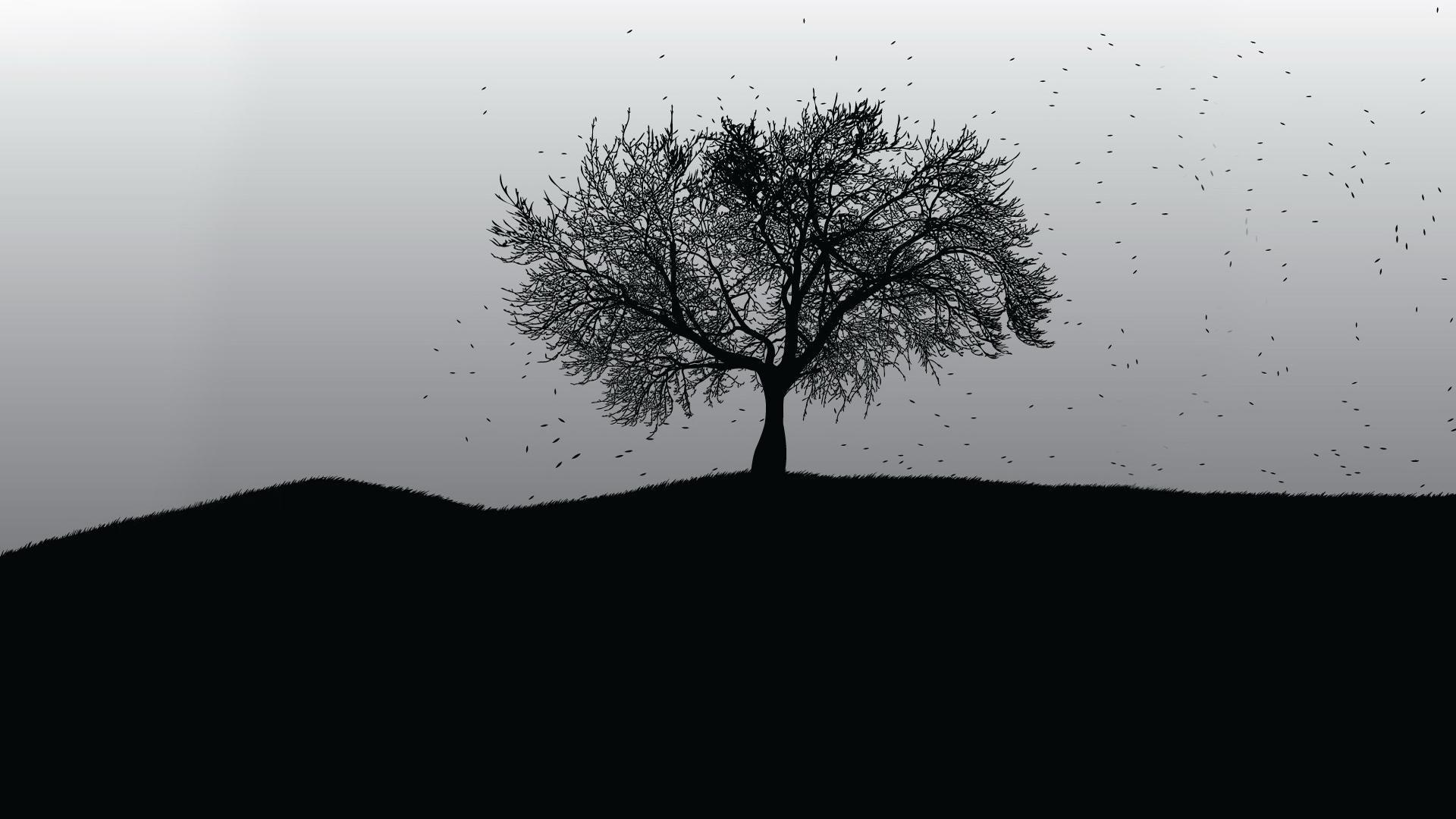 Tree Black And White Wallpaper HD Resolution #Iht