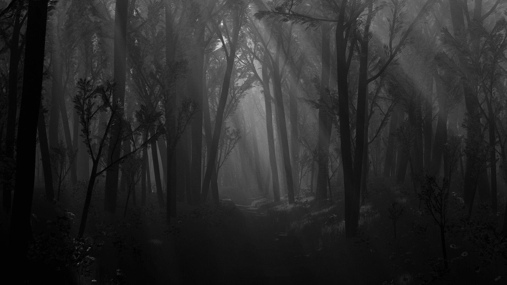 Dead Forest Wallpapers - Wallpaper Cave
