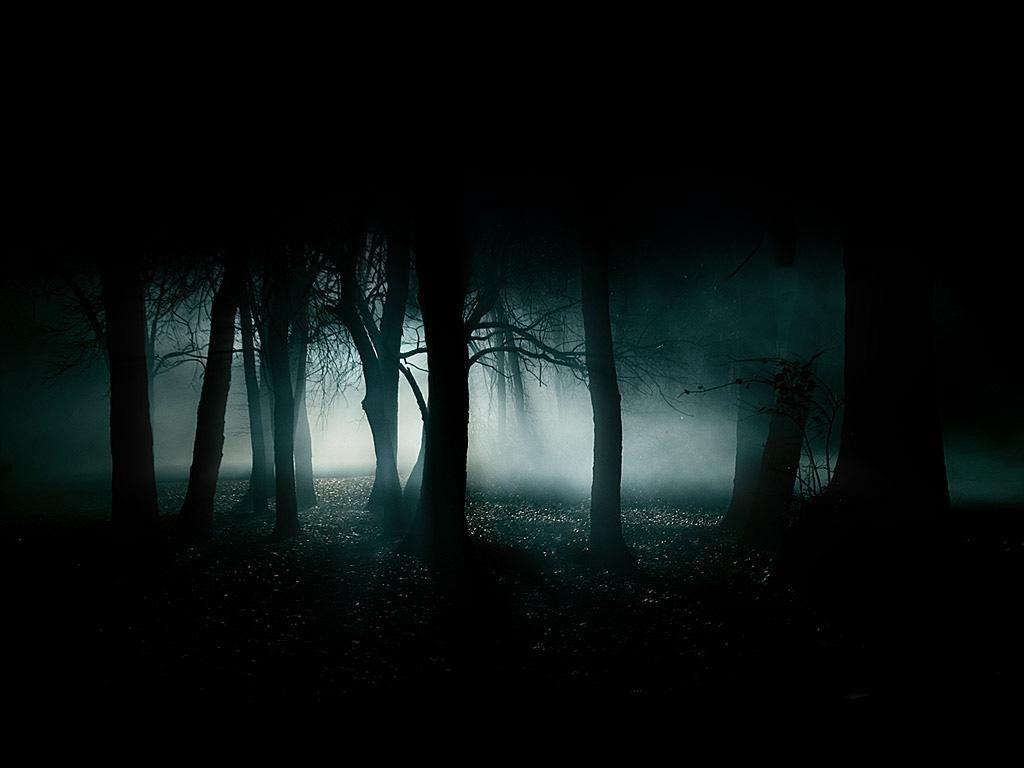 dark mist trees wallpaper and background