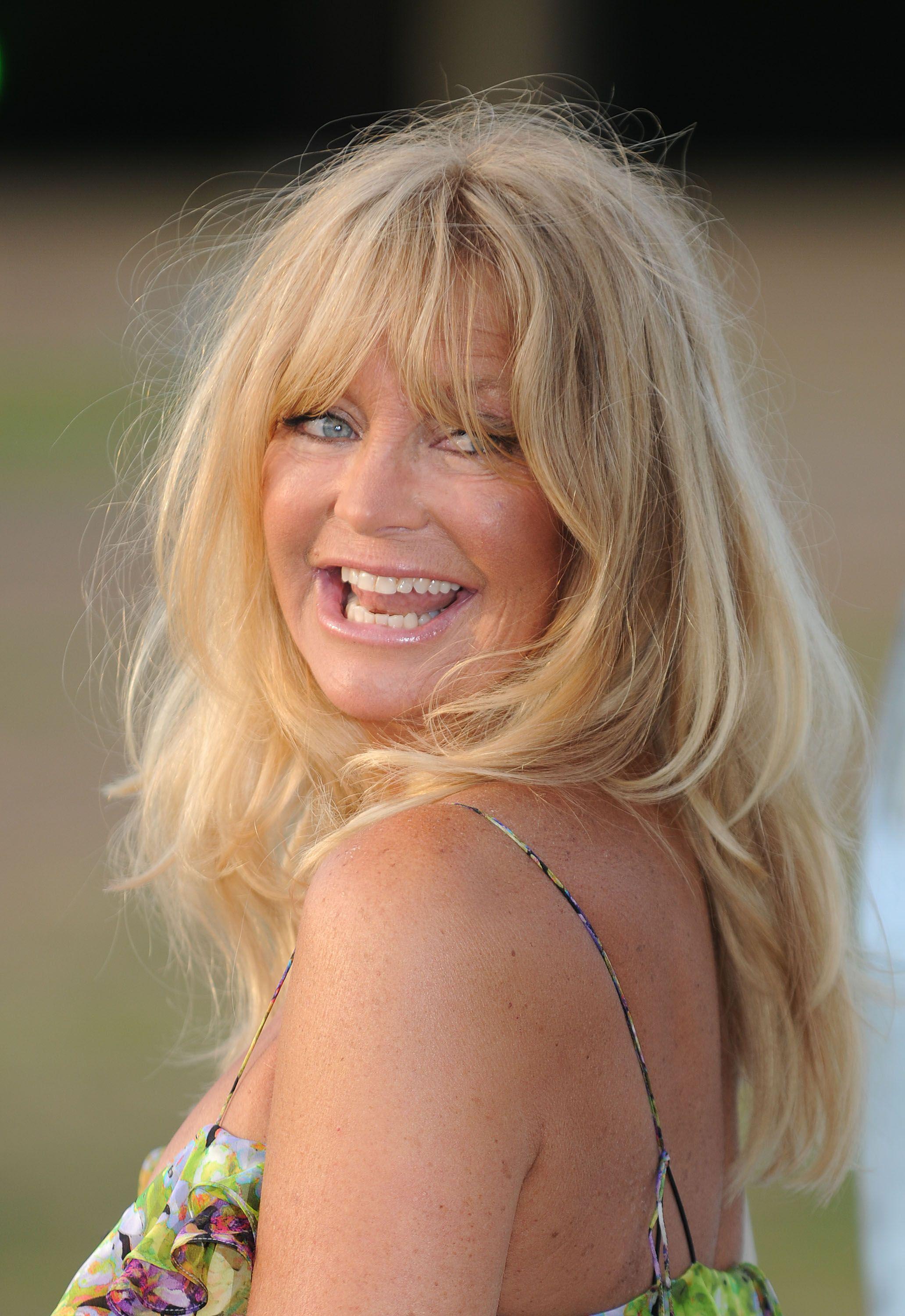 Goldie Hawn image The Elephant Parade auction 2010 HD wallpaper