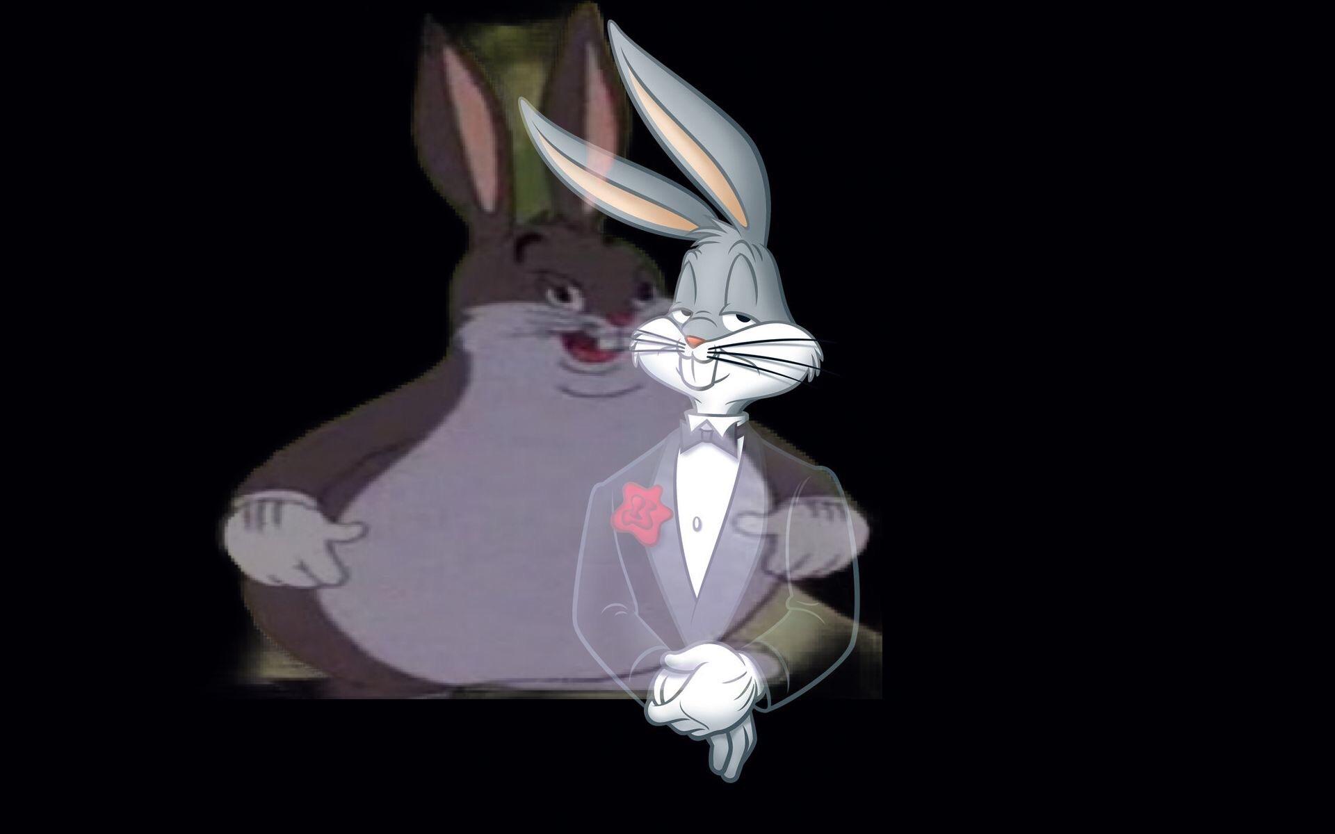 Big Chungus Wallpapers Wallpaper Cave