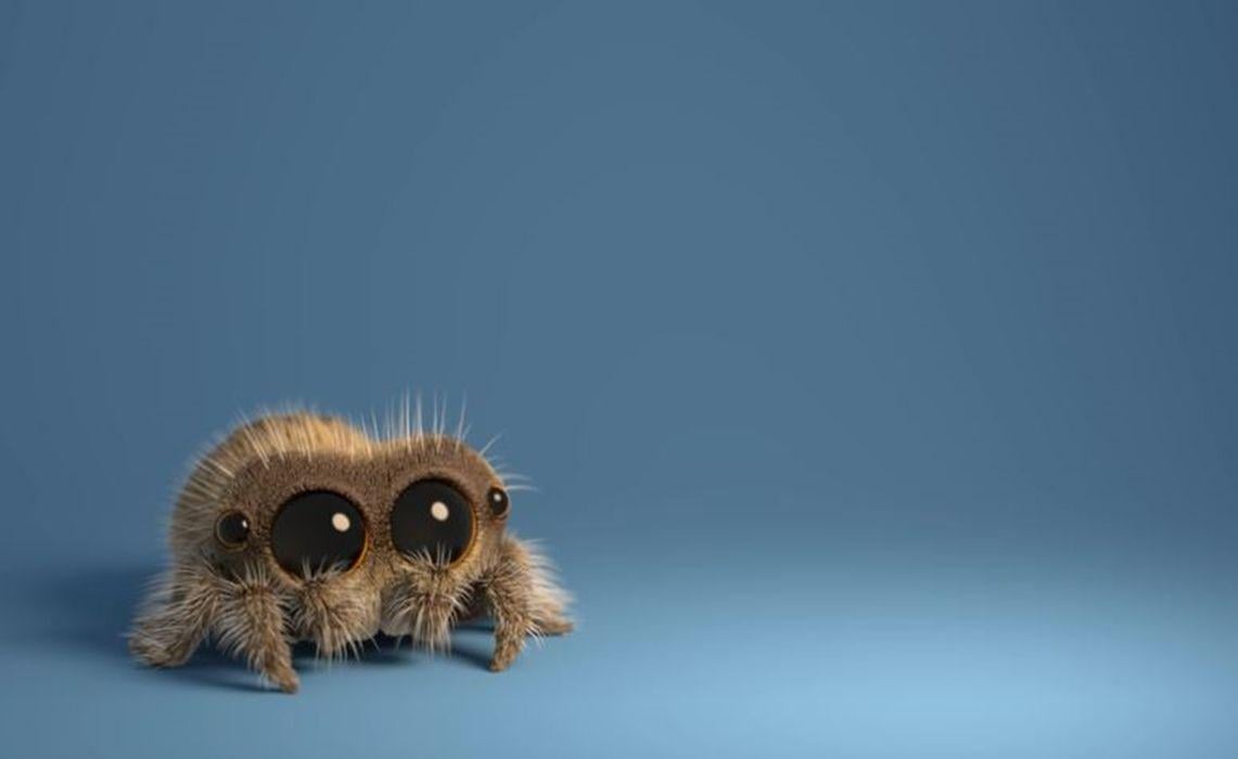 Equal Parts Creepy And Cute, 'Lucas The Spider' Is Weaving Viral