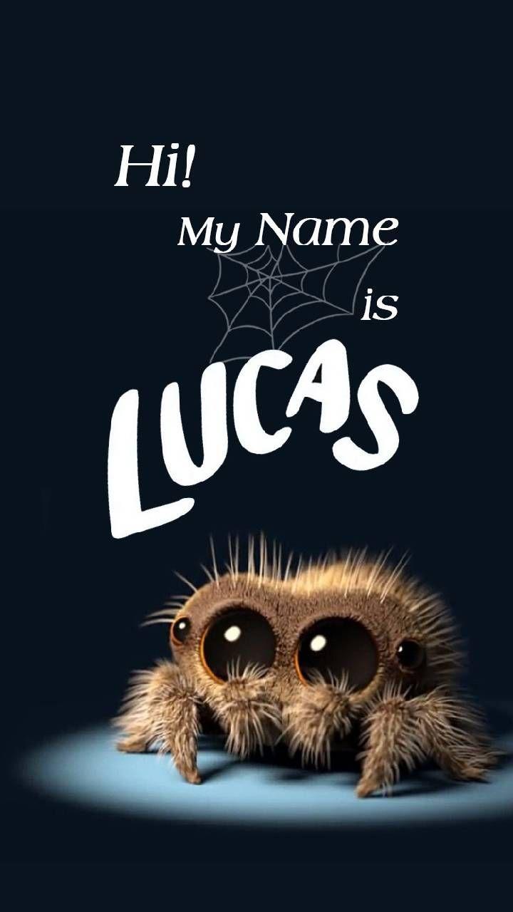 Download Lucas Spider mtPXs Wallpaper