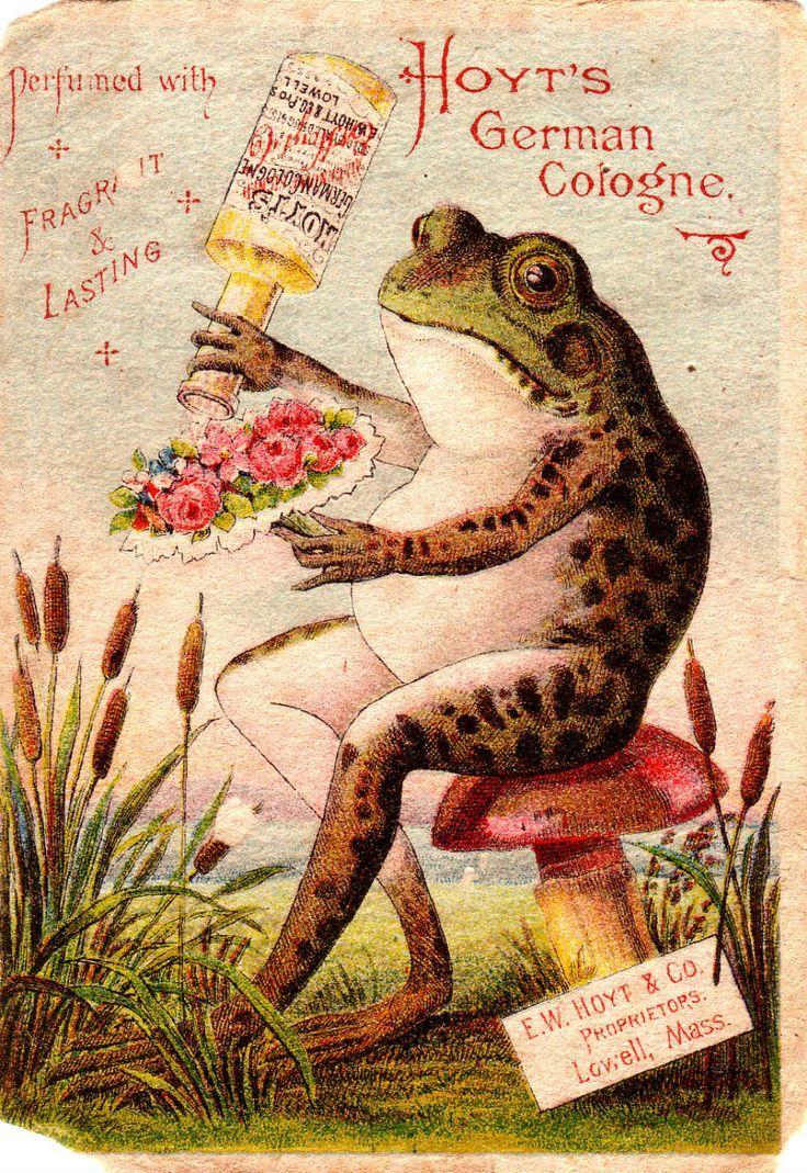 best Frogs image. Frogs, Cute frogs and Frog art