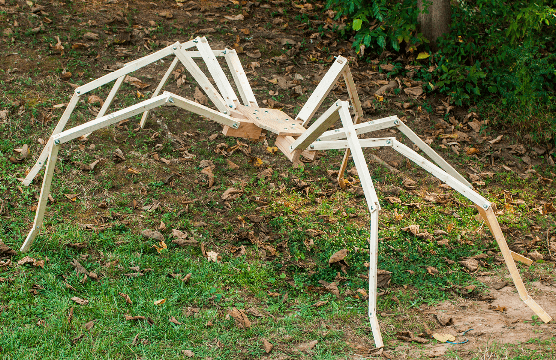 wolf spiders