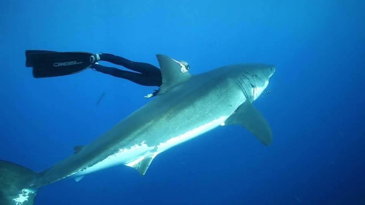 Ocean Ramsey Wallpapers - Wallpaper Cave