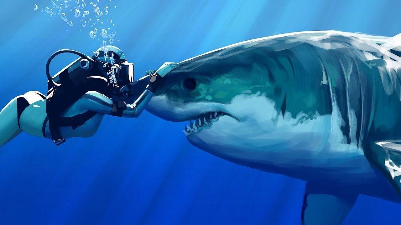 Sharks Love To Be Petted're Like Dogs