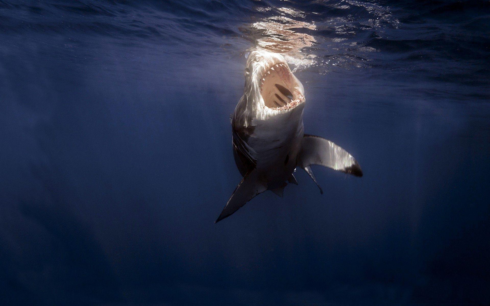 Ocean Ramsey Wallpapers - Wallpaper Cave