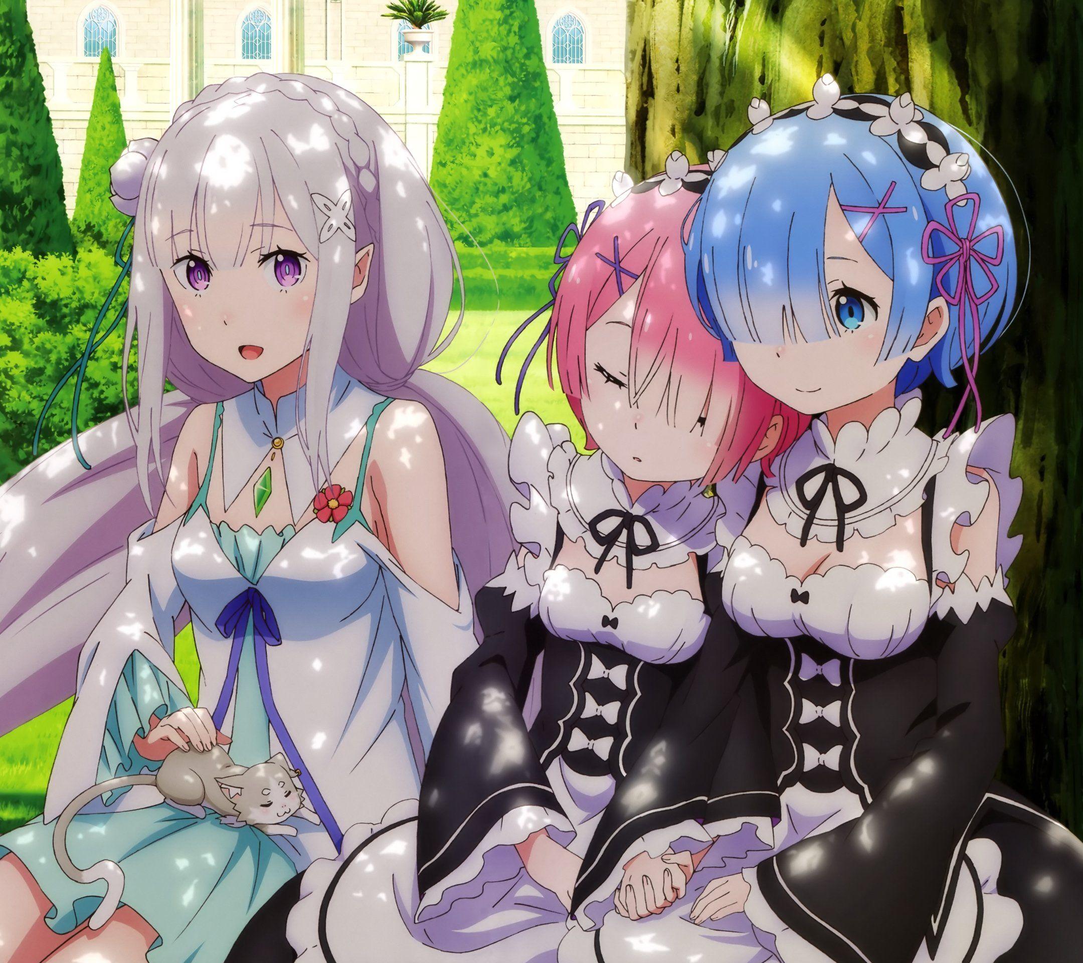 Re:ZERO Starting Life In Another World Wallpaper Custom 3D Anime Rem Ram  Wall Murals Boy Bedroom Living Room Decor Cosply Studio|Wallpapers|  AliExpress | lupon.gov.ph