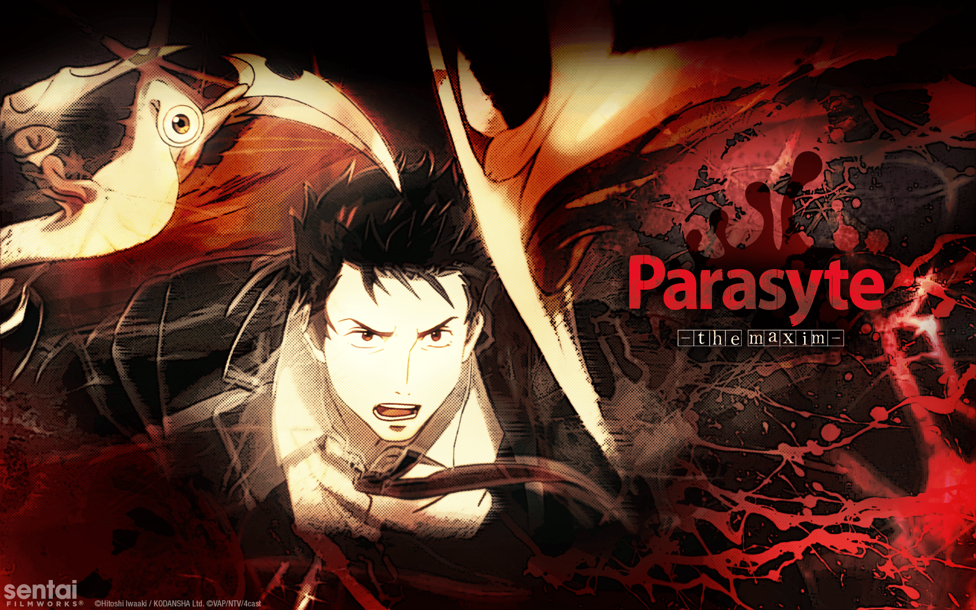 Parasyte -the maxim- Official Shinichi & Migi wallpaper from Sentai