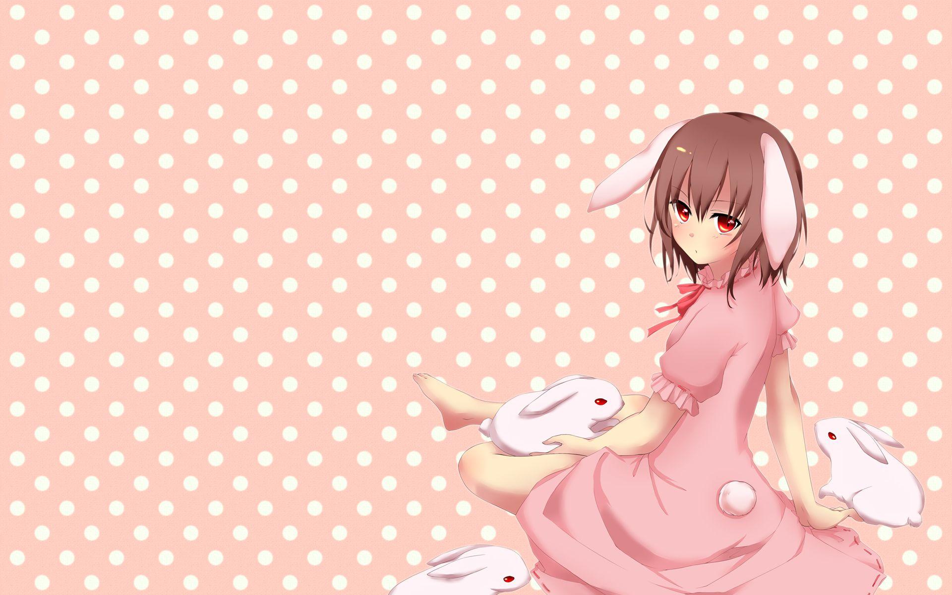 Bunny Girl Wallpapers Wallpaper Cave