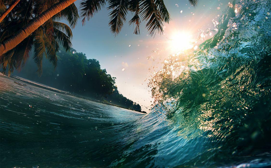 Waves sea ocean beach palm trees summer wallpaperx3105
