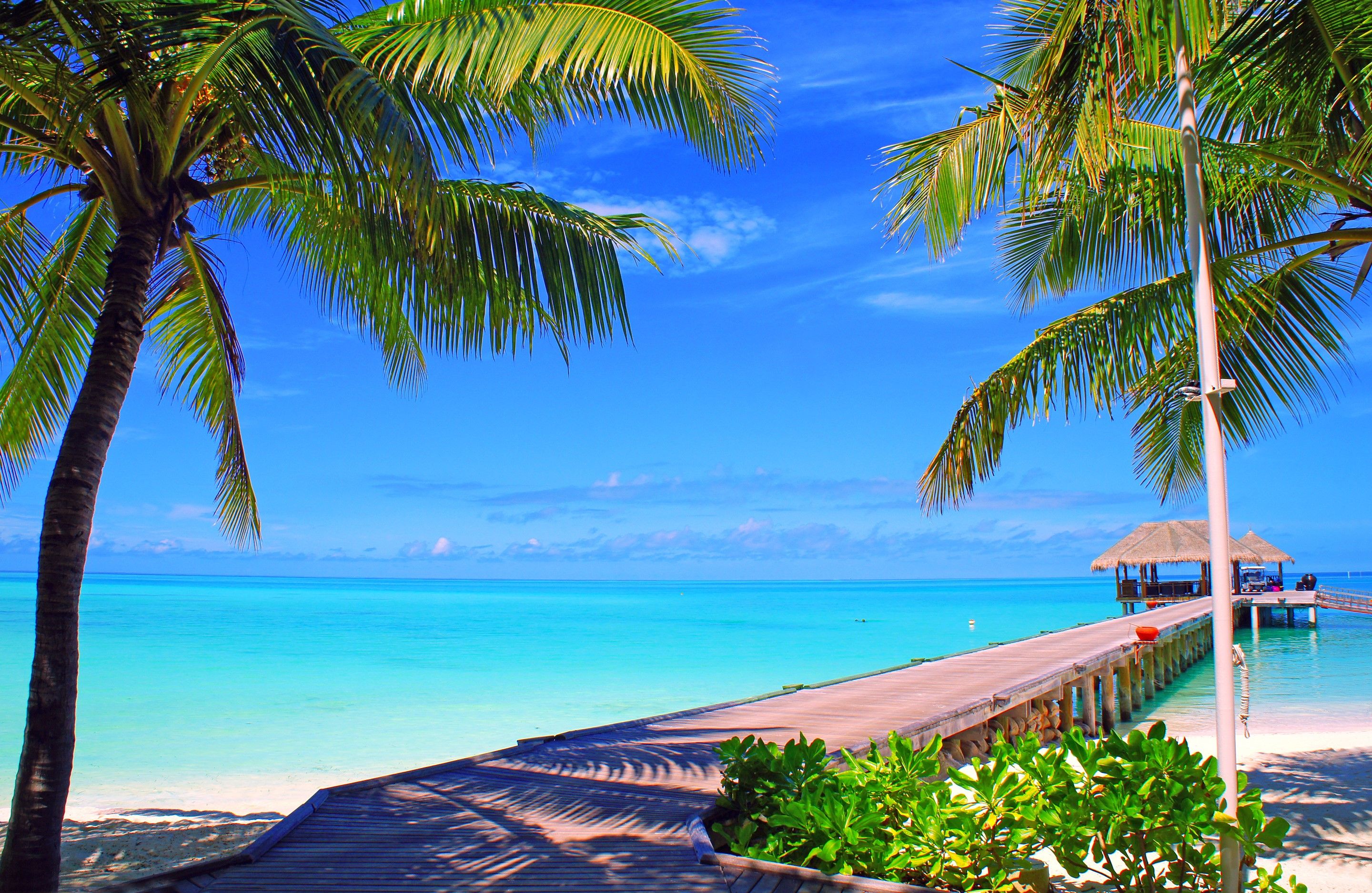 Maldives, Sky, Clouds, Island, Palm trees, Bungalows, Sea, Ocean