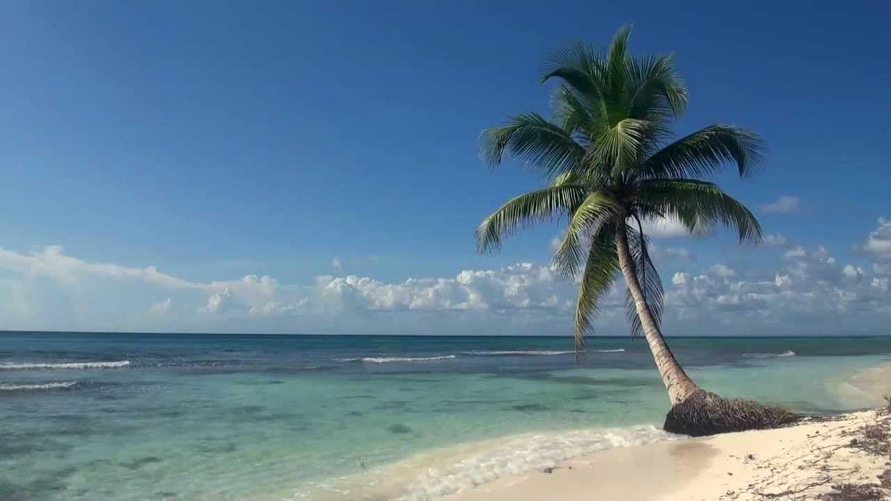 Relaxing 3 Hour Video of A Tropical Beach with Blue Sky White Sand