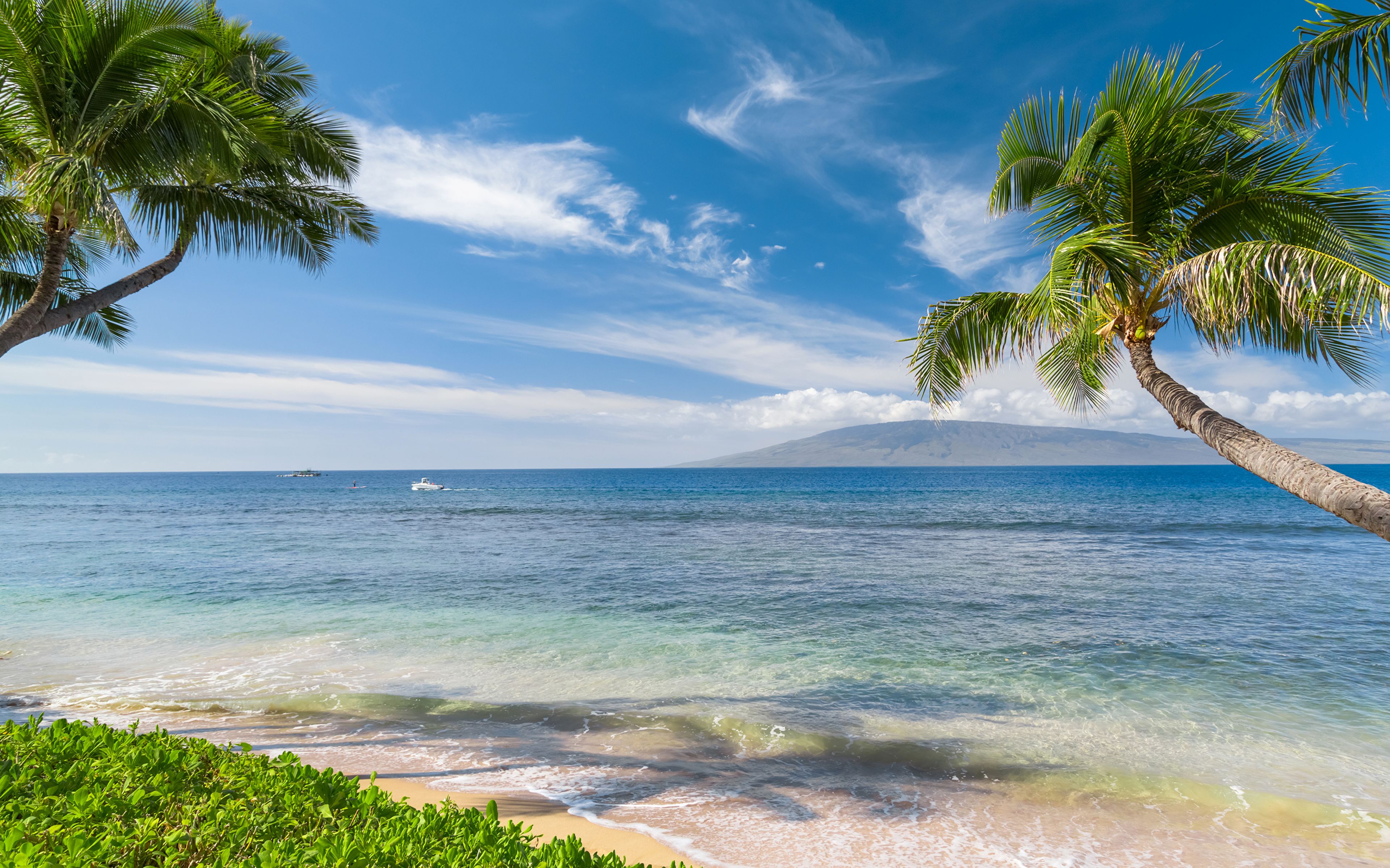 Wallpaper Hawaii Ocean Nature Sky Waves Tropics palm trees 3840x2400