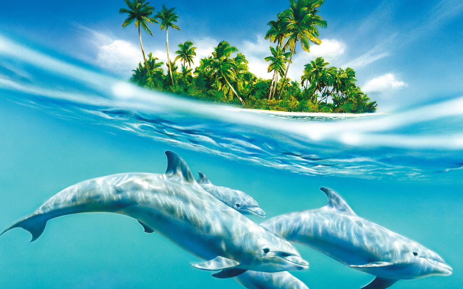 Wonderful Animalls Ocean Water Dolphins Wave Island Palm Trees HD