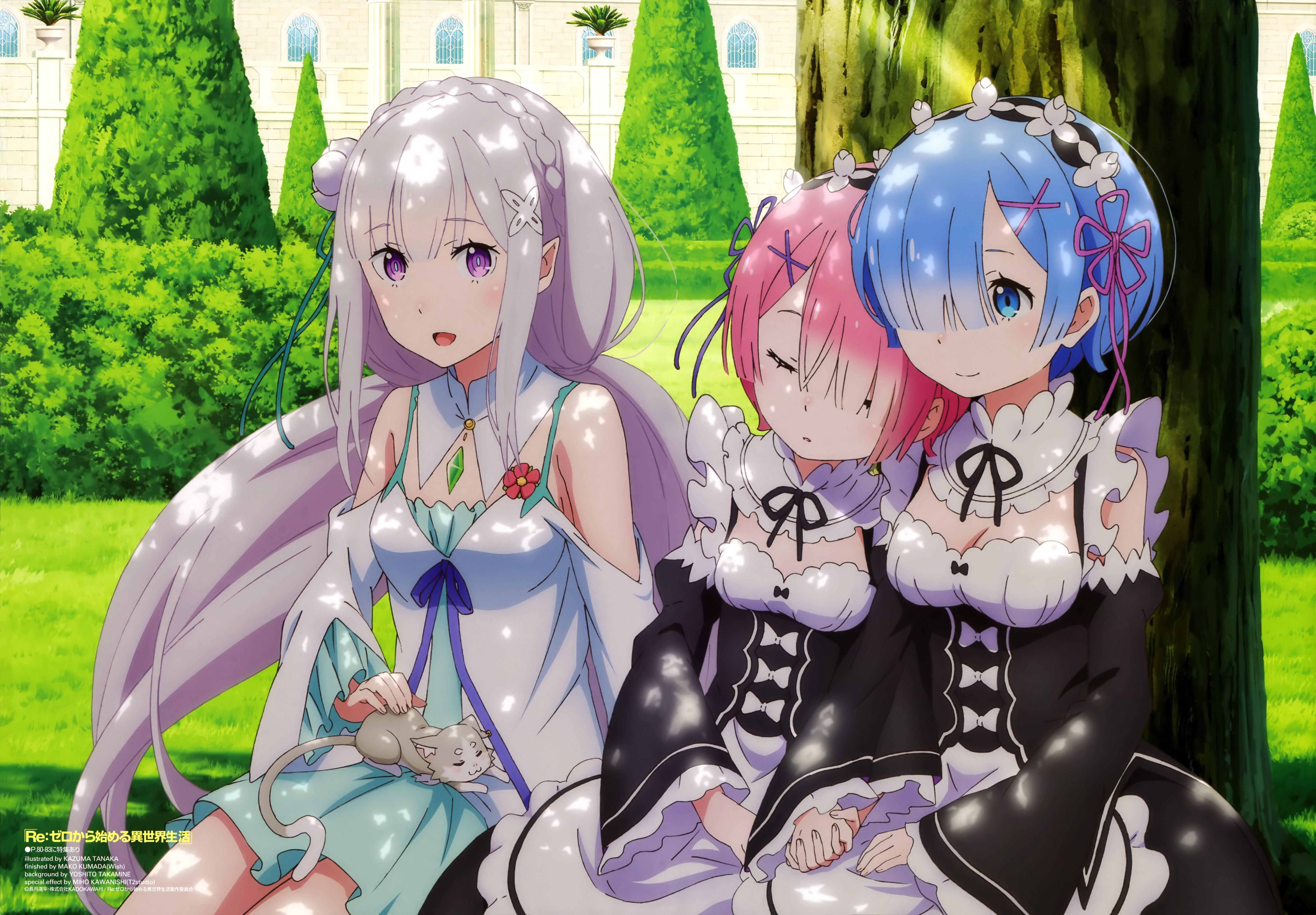 Subaru And Rem Wallpapers Wallpaper Cave