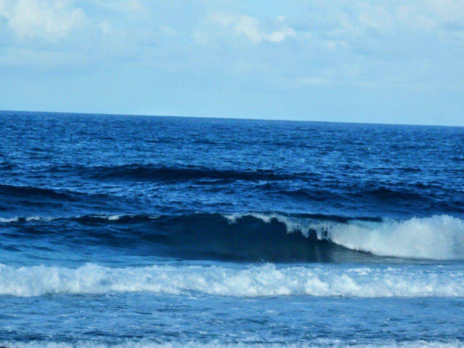 Ocean 101 Cloud 9 Beach Resort: cloud 9 siargao island philippines