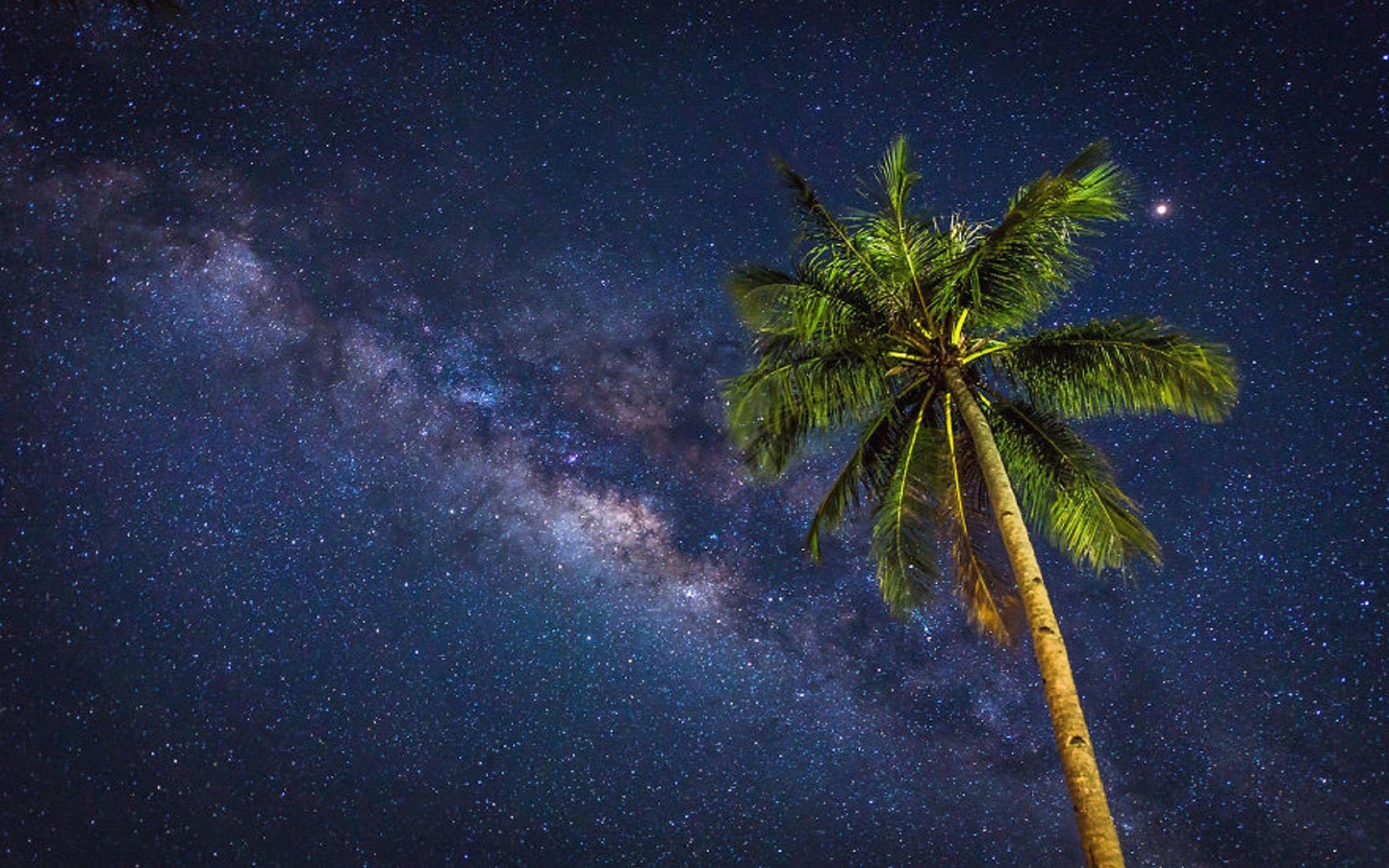 Milky Way From Siargao Island Philippines 2560x1600