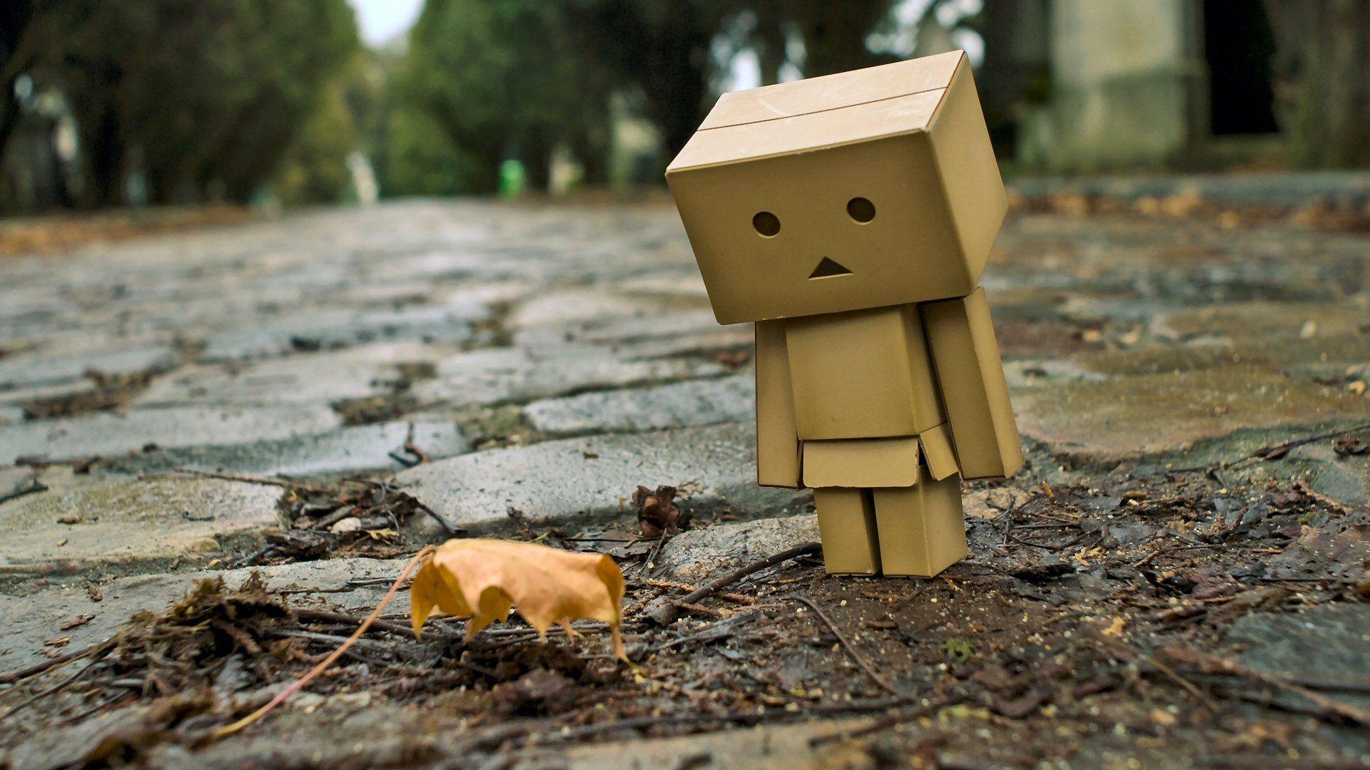 Look a leaf boxman. The Carefree World of Boxman. Danbo