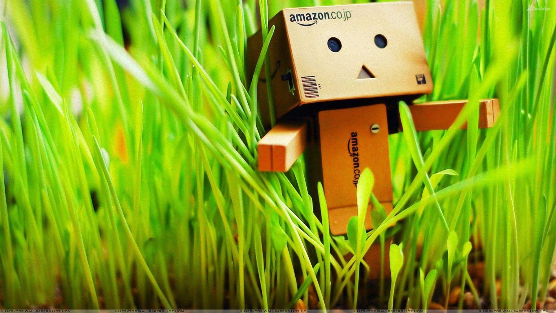 Amazon Box In Grass Wallpaper