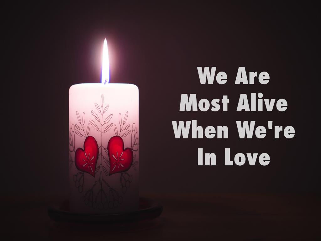 Valentine's Day 2019 Quotes, Image, Wishes & Messages