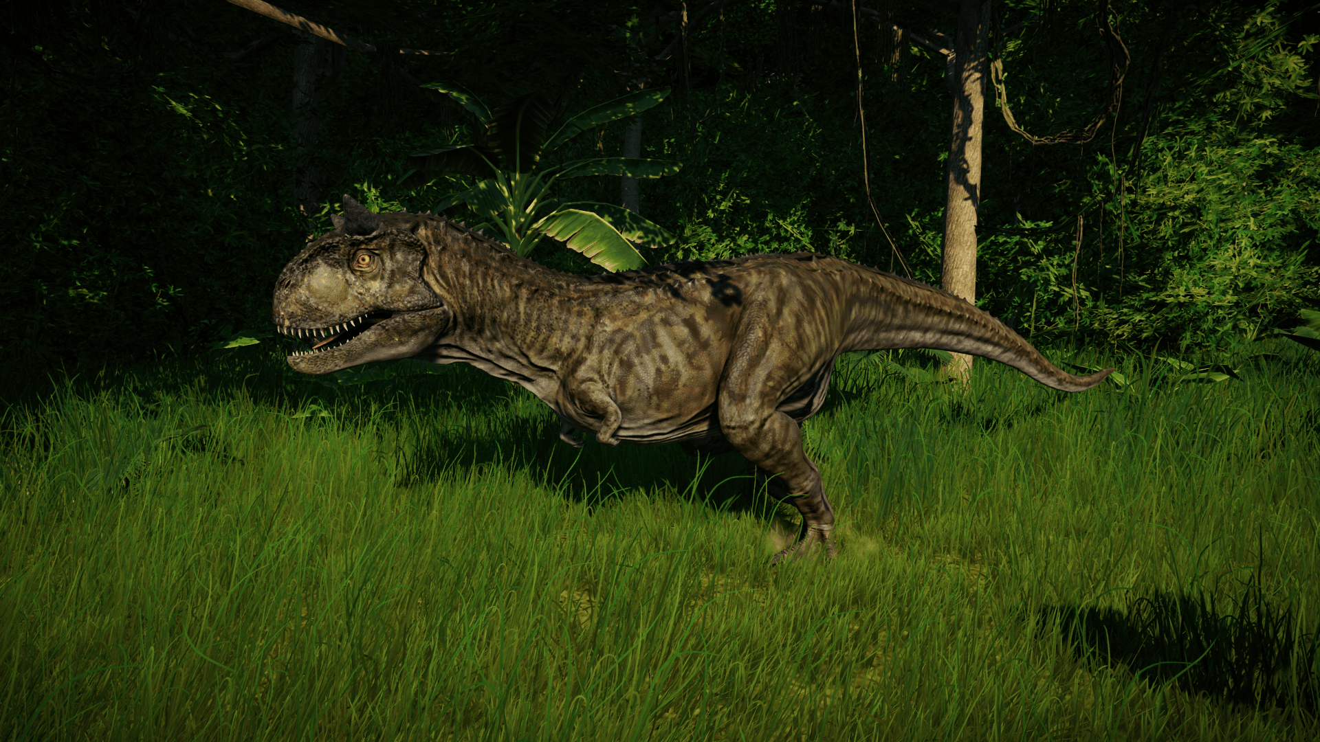 carnotaurus