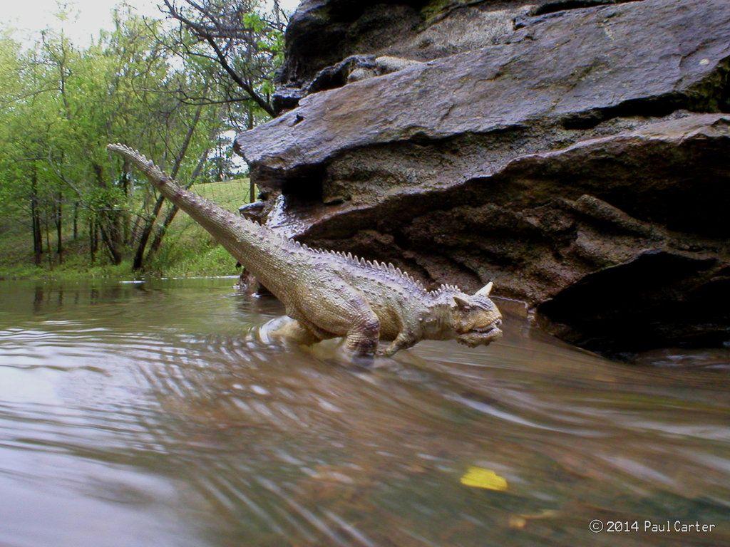 Carnotaurus Wallpapers - Wallpaper Cave