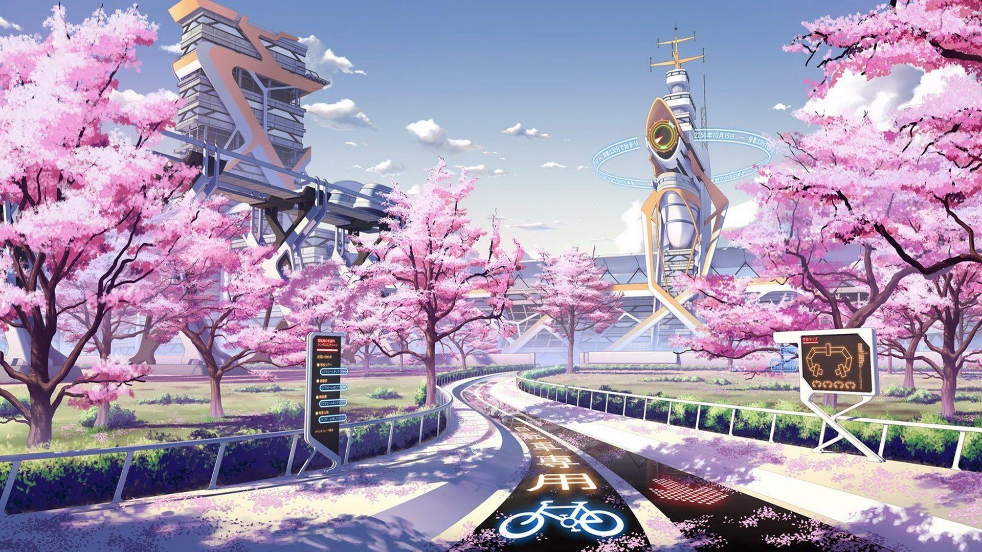 Background hoa anh đào anime đẹp nhất 2021 | Trang 1