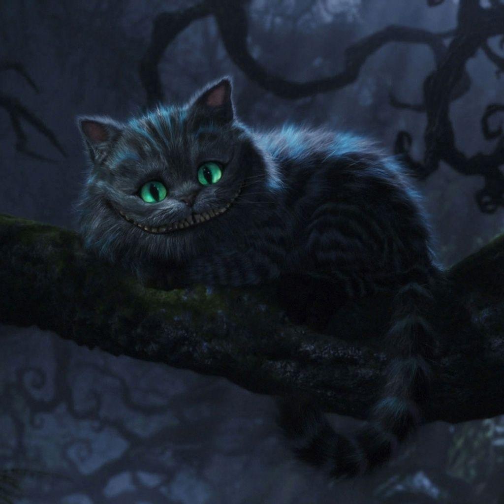 Download Best Cheshire Cat Wallpaper Tumblr