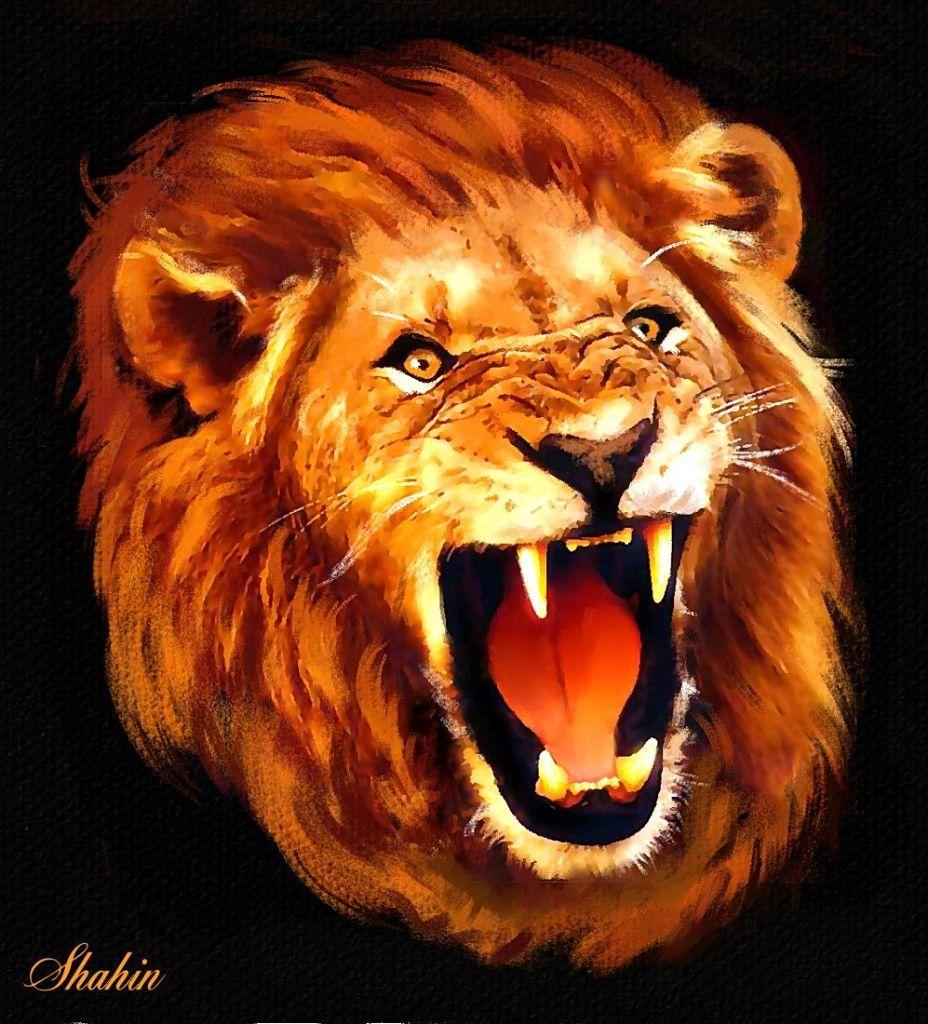 Lion Head Roaring Wallpapers - Wallpaper Cave