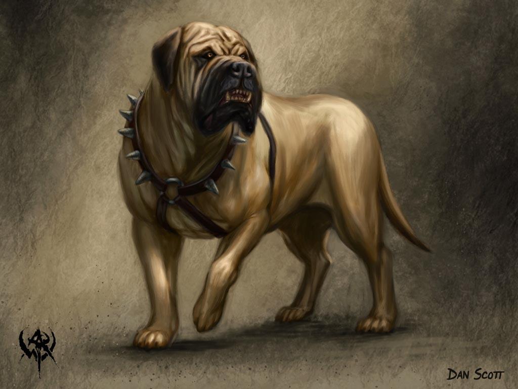 Guide to Owning a Bullmastiff: Grooming, Health and More | Pet.co.nz