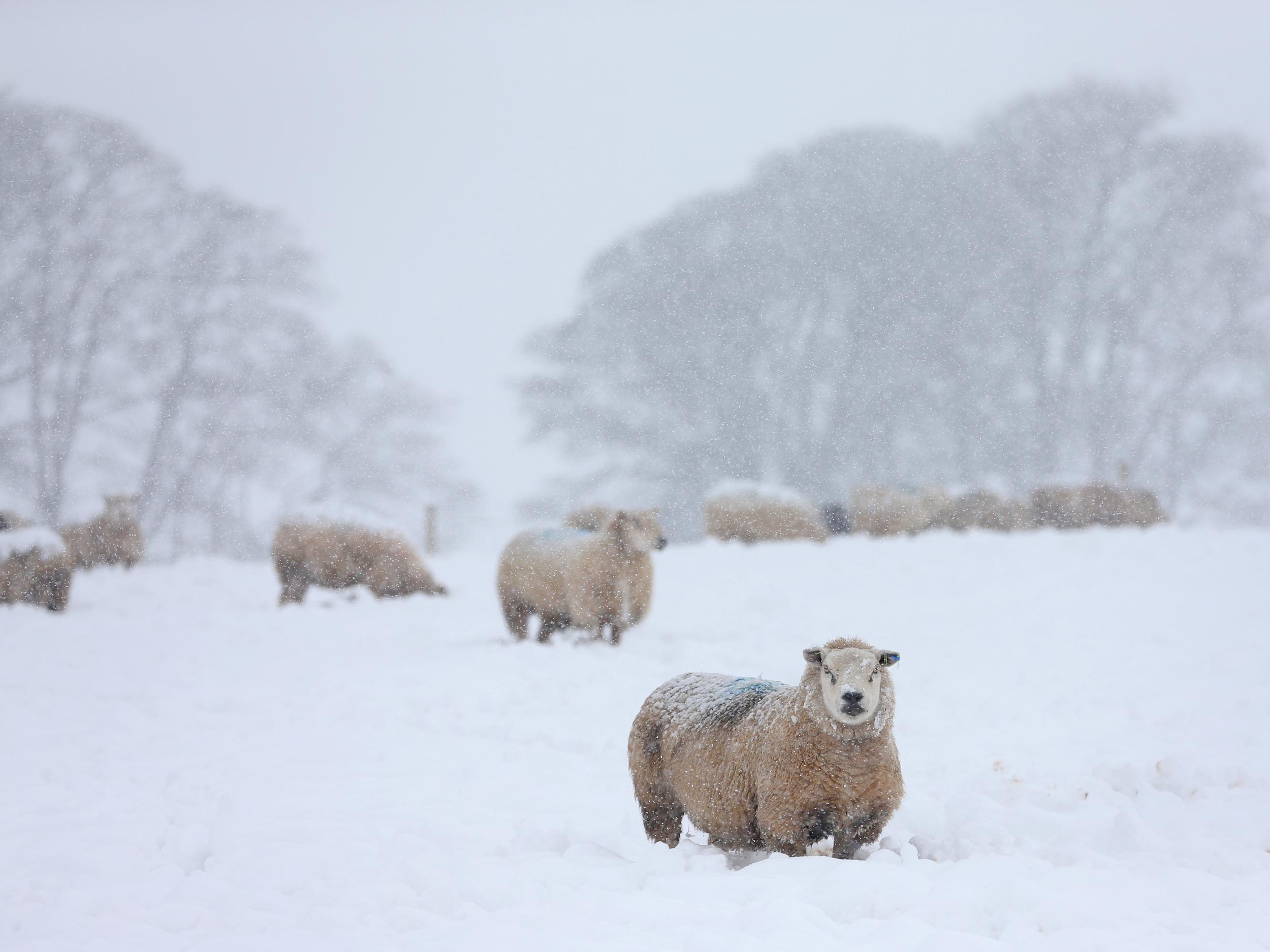 What is a polar vortex? Why the UK could see its coldest winter