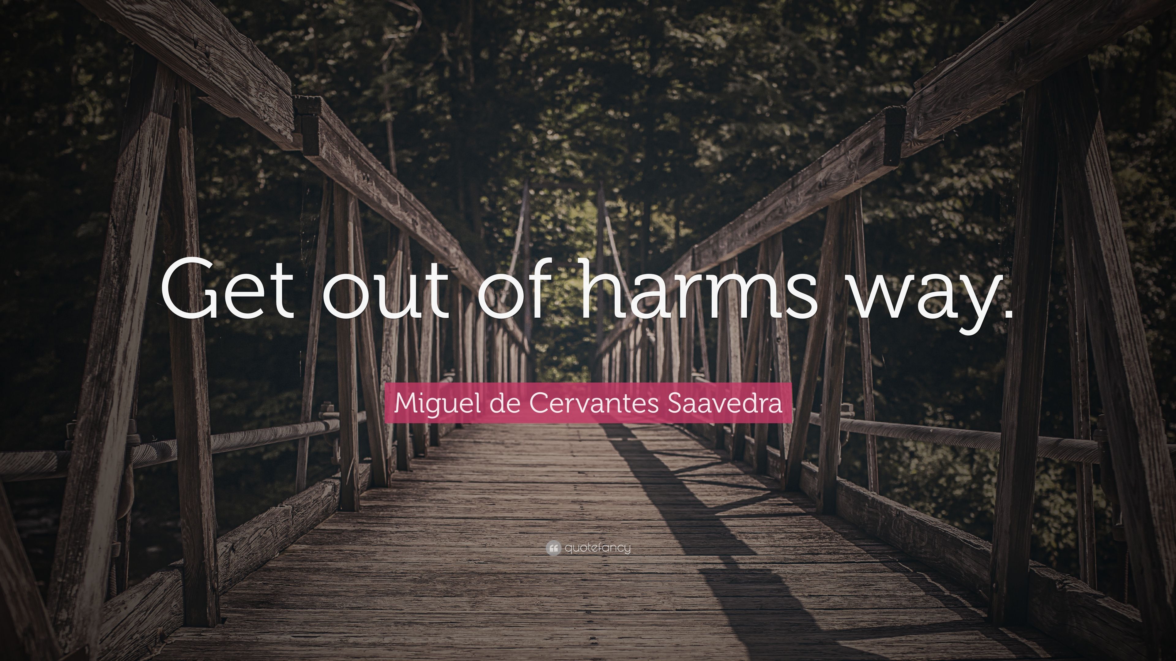 Miguel de Cervantes Saavedra Quote: “Get out of harms way.” 7