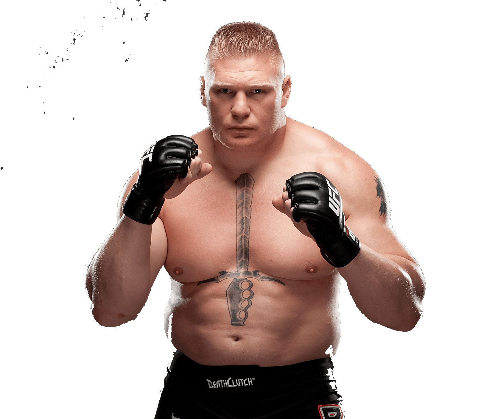 Brock Lesnar PNG Photo