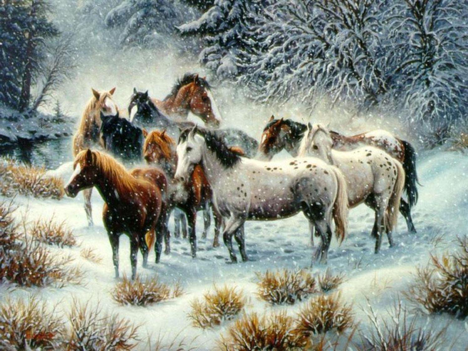 Amazing Free Desktop Wallpaper Winter Scenes With Horses