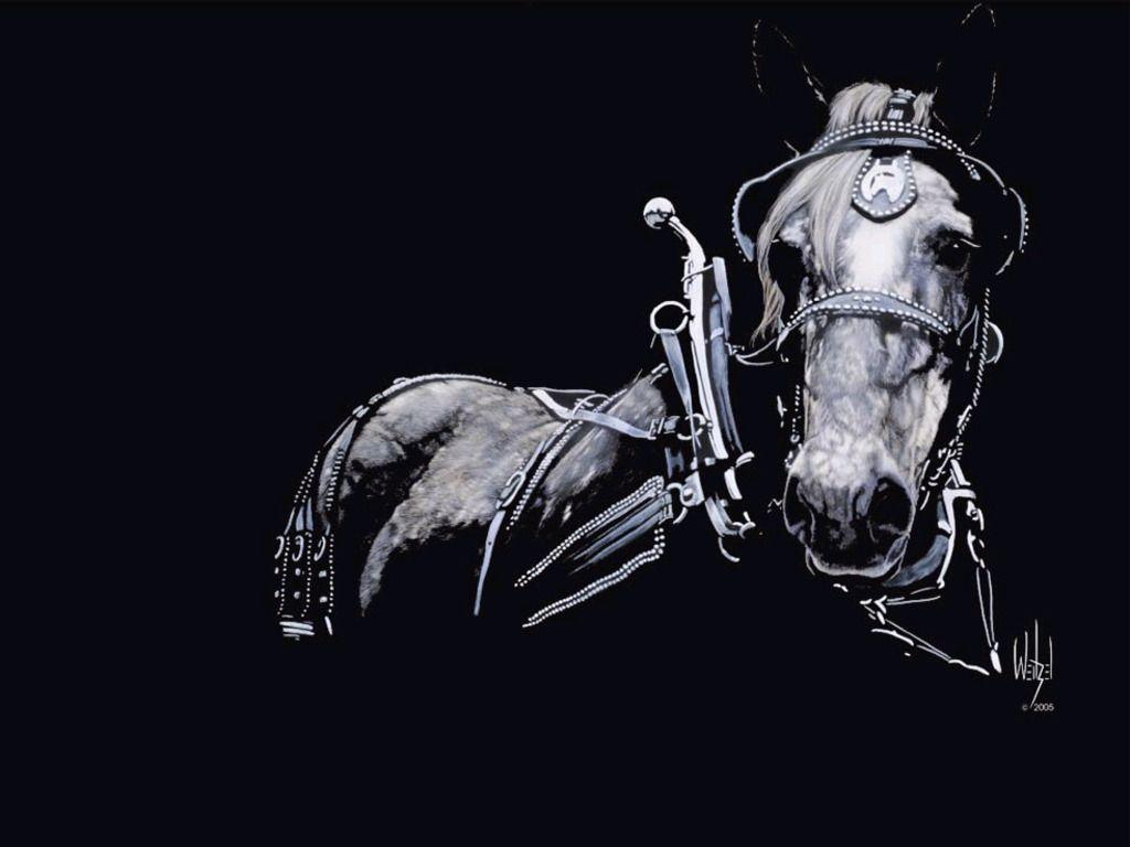 Unique Animals blogs: Black Horses, Black Horse Wallpaper for Desktop