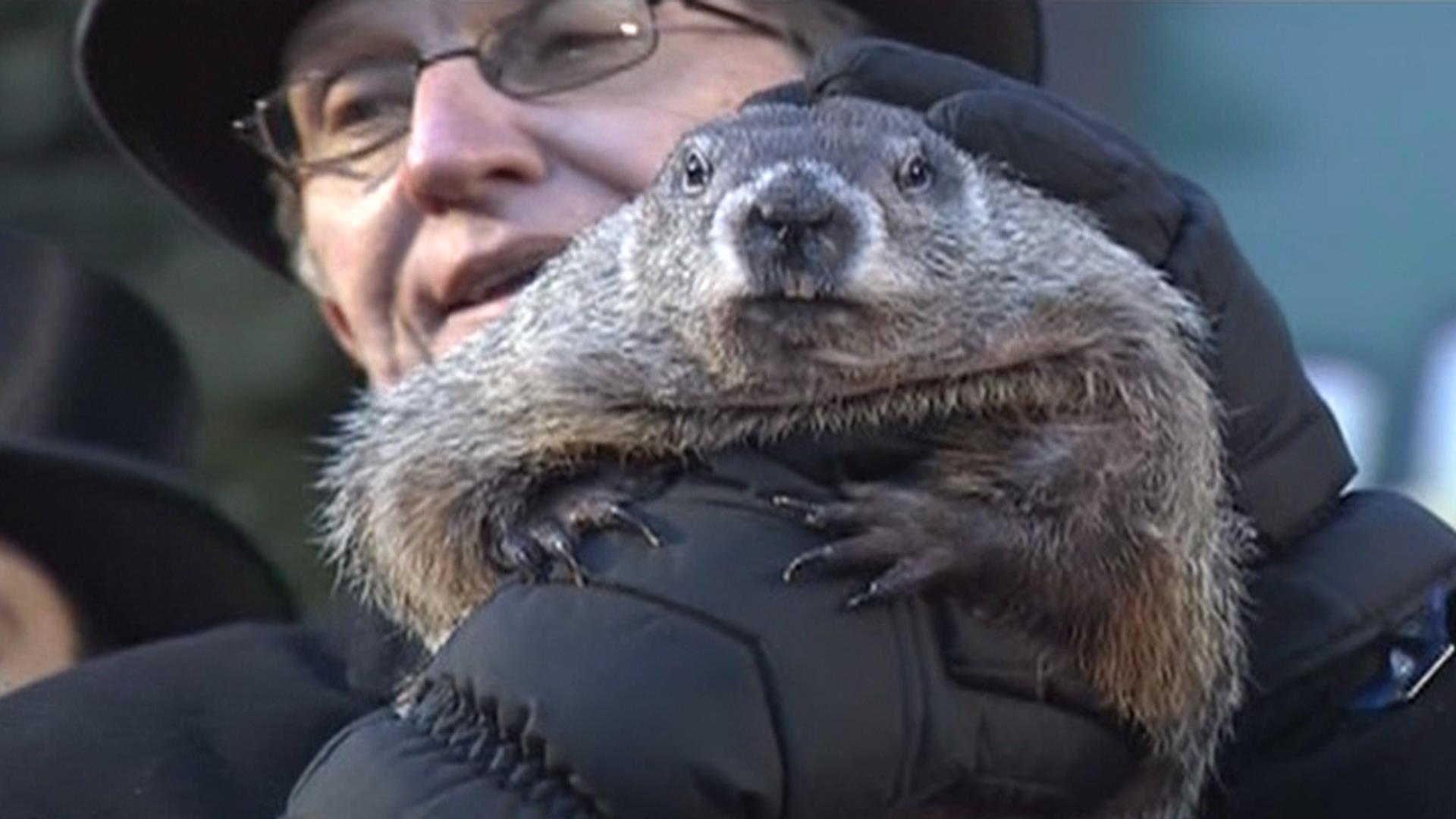 Groundhog Day: Punxsutawney Phil says spring is just around