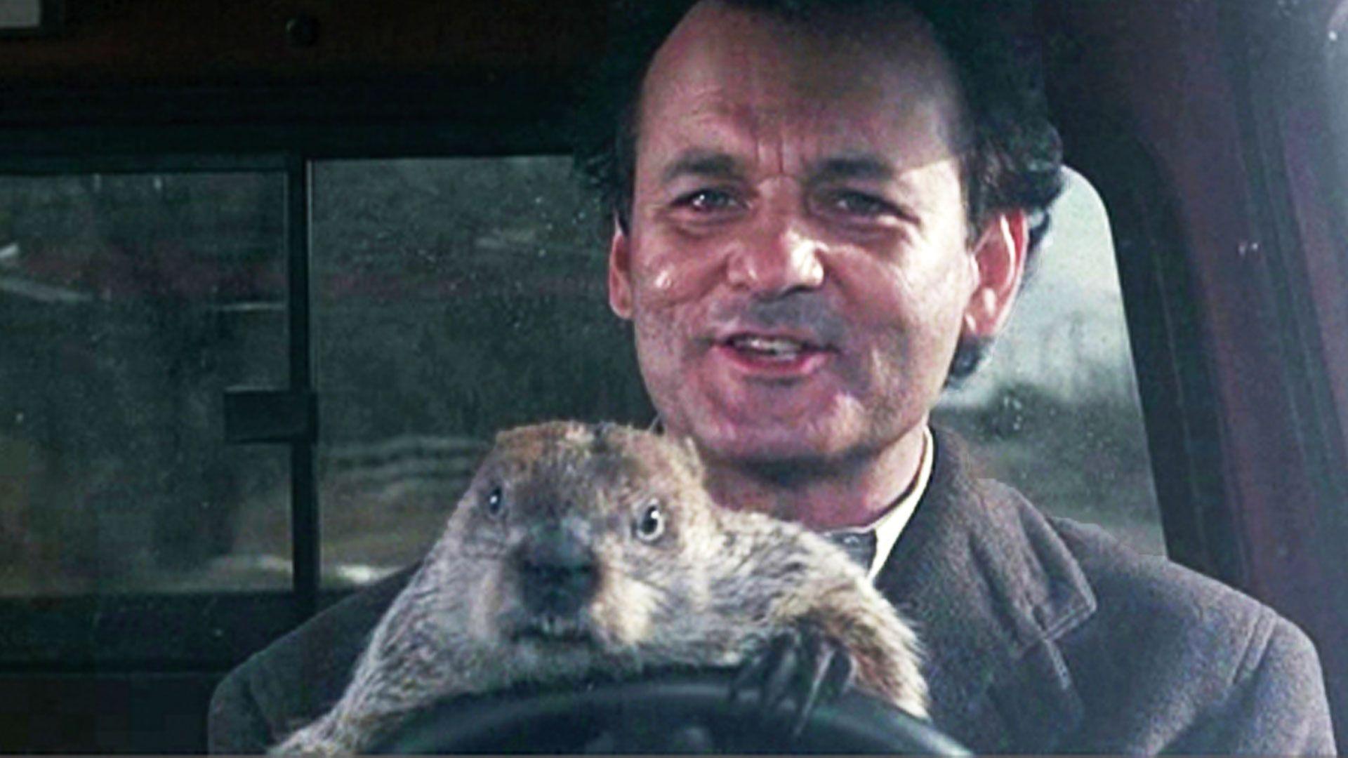 It's Groundhog Day! Here's 7 expressive animals that all look a