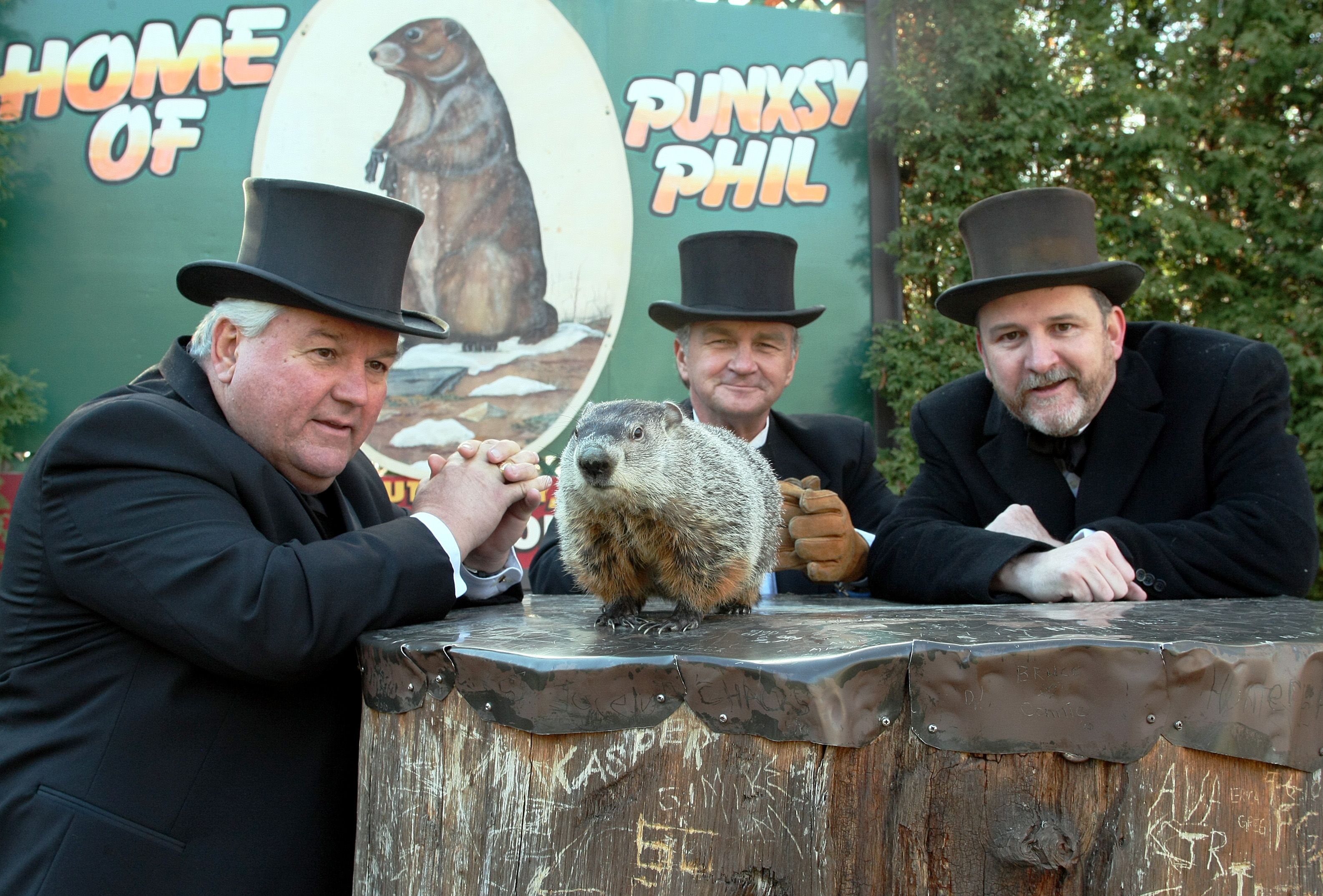 Токсис день сурка. День сурка (Groundhog Day). Панксатони штат Пенсильвания. Punxsutawney Phil. Сурок Фил из Панксатони.