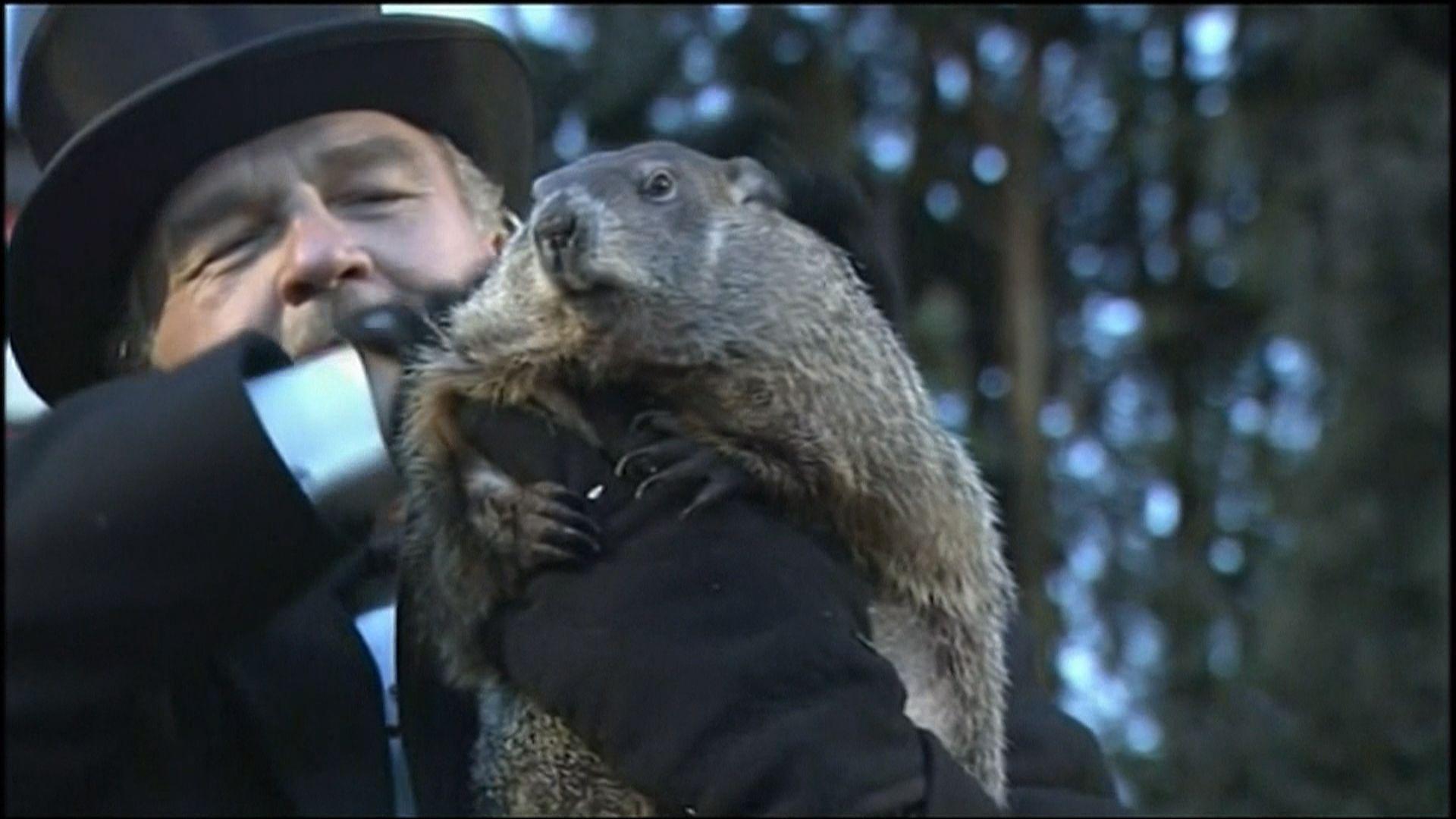 Punxsutawney Phil Says an Early Spring Is on