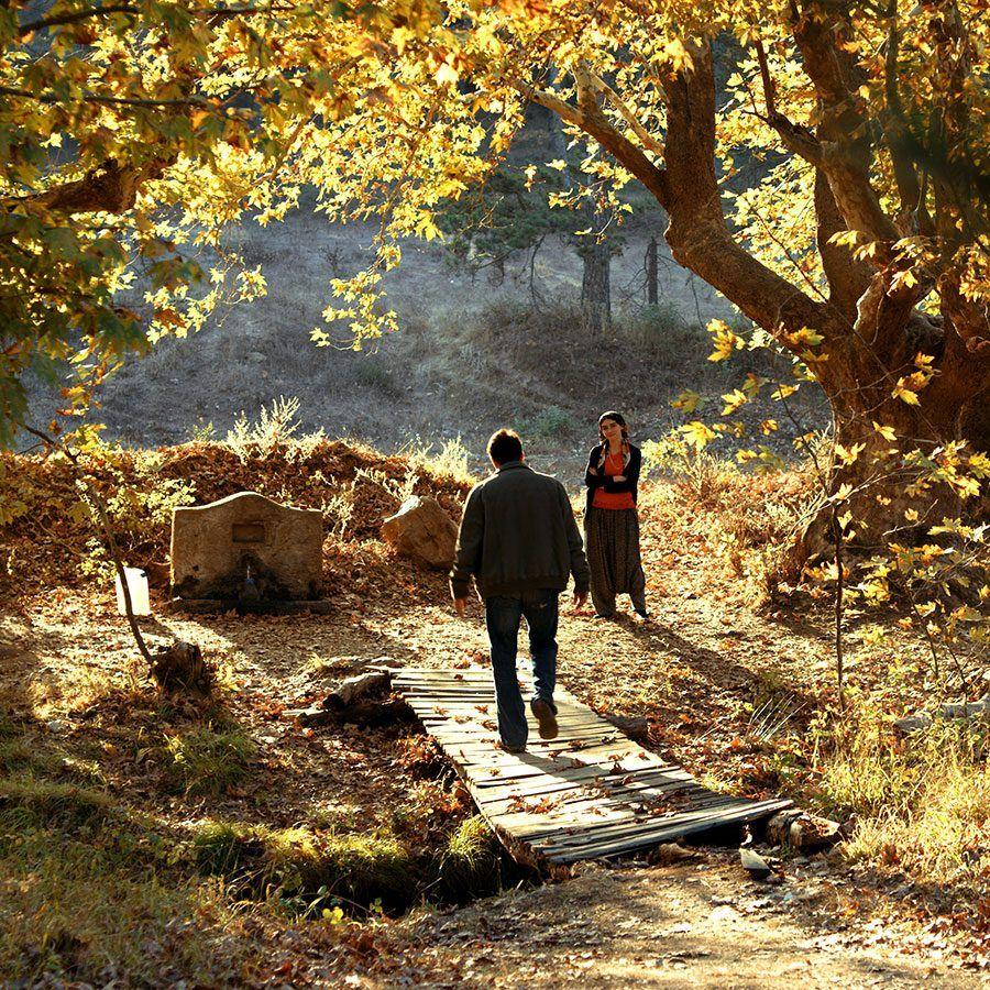 The Wild Pear Tree (Ahlat agaci) Film Forum