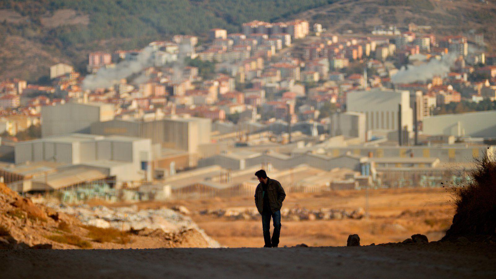 The Wild Pear Tree movie review, Reviewed: The Wild Pear Tree is a