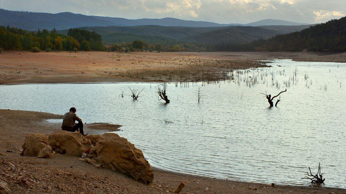 The Wild Pear Tree (Ahlat agaci) Film Forum