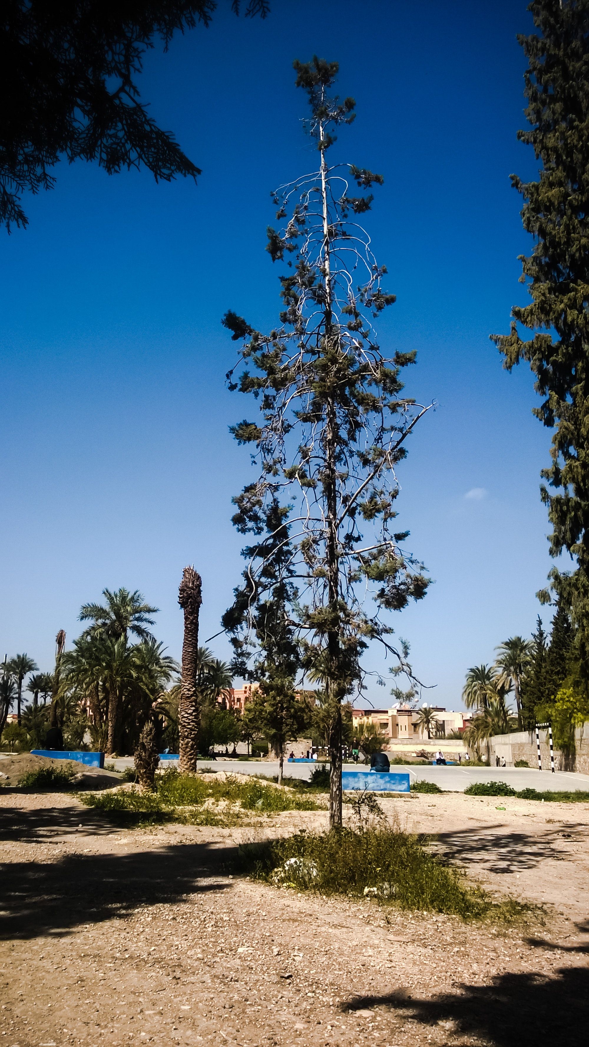 Free of nature, nature photography, nature wallpaper