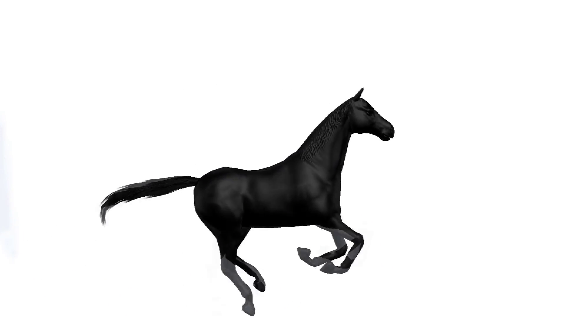 Black horse galloping across a white background Motion Background