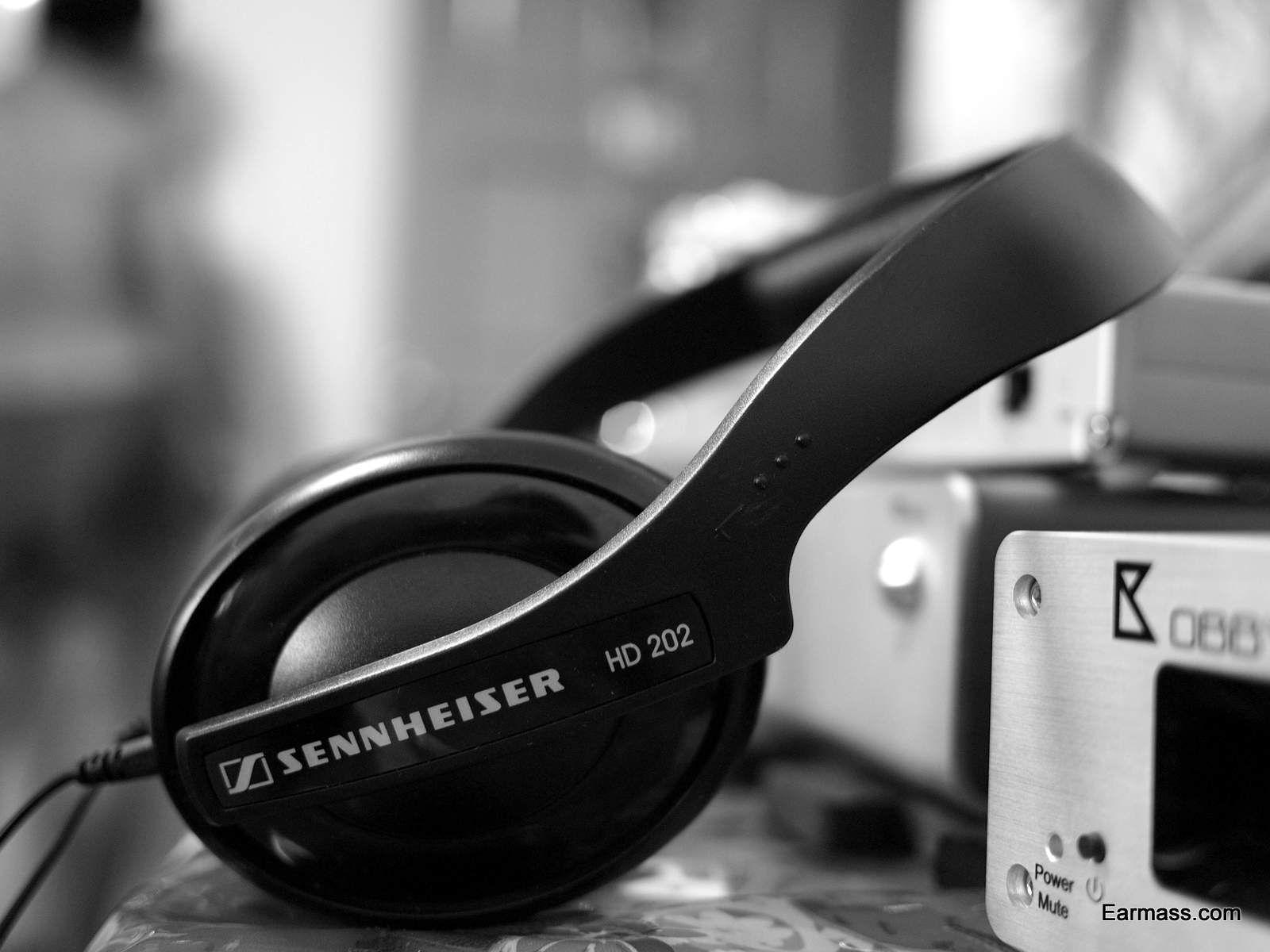 Sennheiser HD202 ii, The Dirt Cheap Starters' headphone