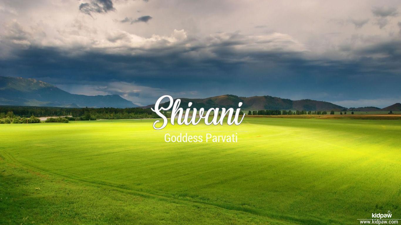 Shivani 3D Name Wallpaper for Mobile, Write शिवानी Name