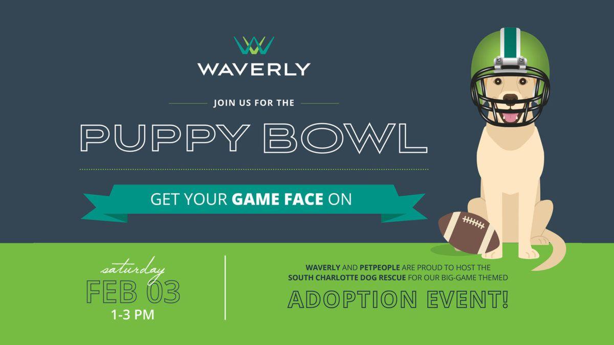 Puppy Bowl 2019 Wallpapers - Wallpaper Cave